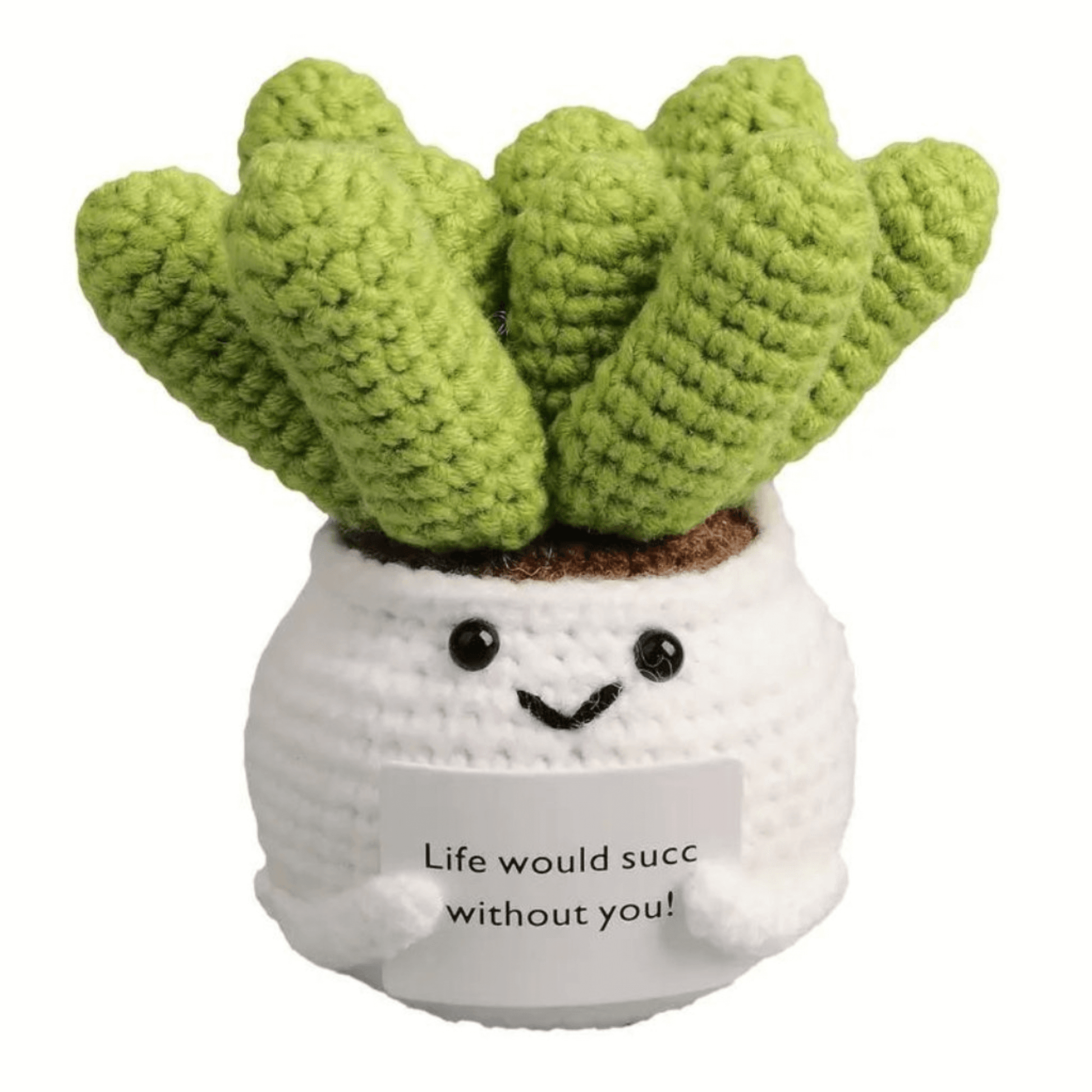 Hand-Woven Crochet Succulent Plant 