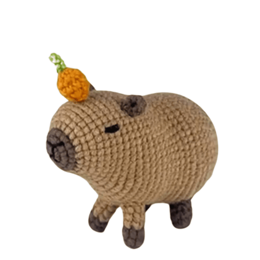 Amigurumi Capybara Kit